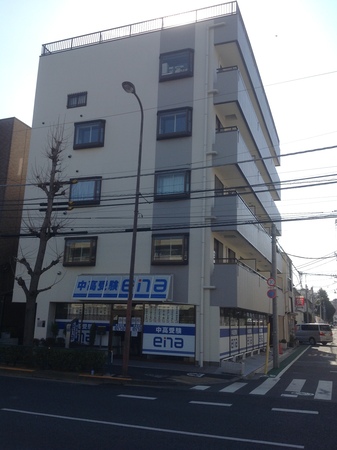 蓮根画像