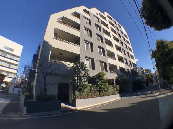 関口画像