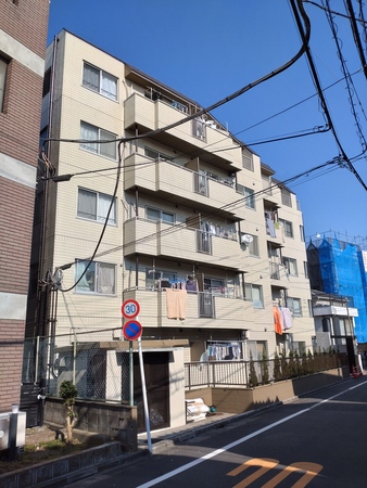 フェンネル中葛西画像